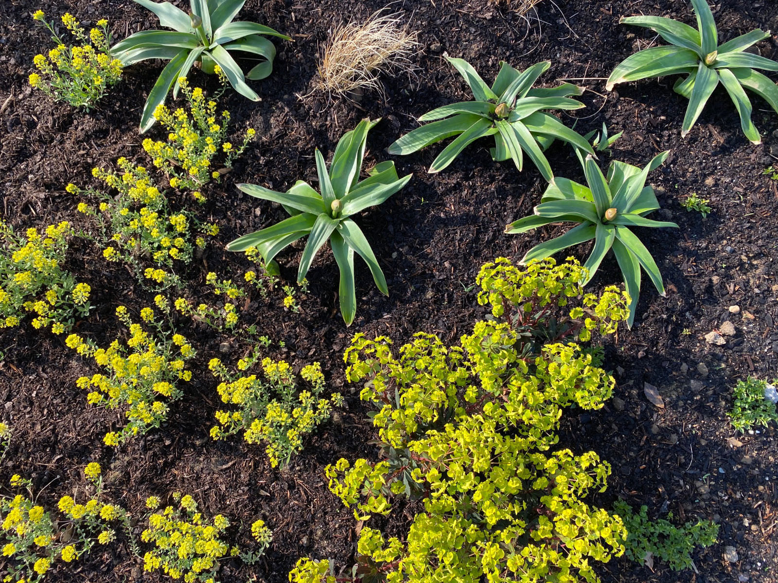 Gärten von Kreuz Garten- und Landschaftsbau, LHG Gärten und Stanka Landschaftsarchitektur finden sich am gesamten Niederrhein, Krefeld, Kempen, Nettetal, Viersen, Duisburg, Kerken, Issum, Rheinberg, Alpen, Moers, Rheinhausen, Duisburg, Mülheim, Meerbusch, Schwalmtal, Grefrath, Tönisvorst, Hüls, Kaarst, Neuss, Duisburg, sowie Düsseldorf und Mettmann.