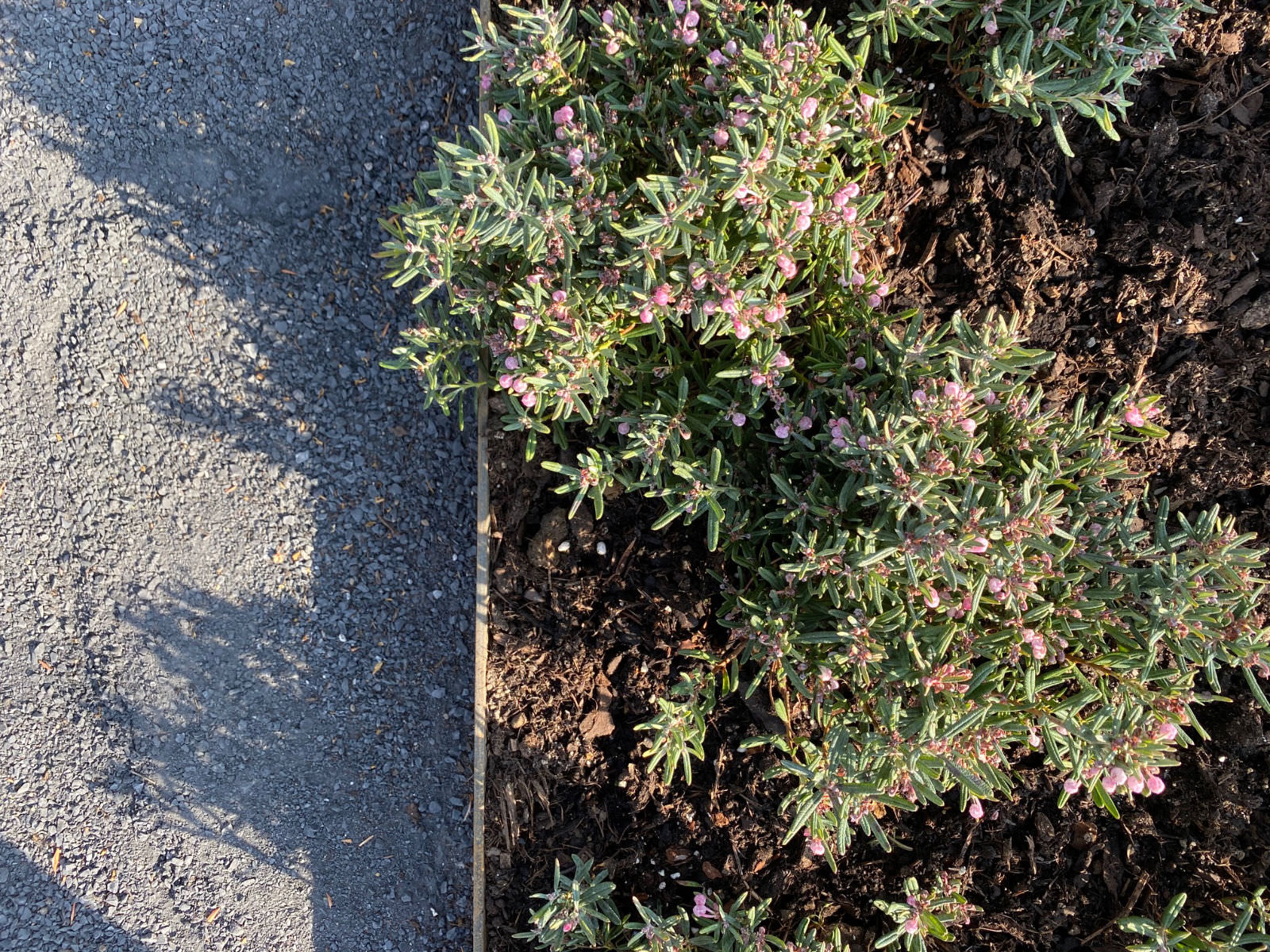 Gärten von Kreuz Garten- und Landschaftsbau, LHG Gärten und Stanka Landschaftsarchitektur finden sich am gesamten Niederrhein, Krefeld, Kempen, Nettetal, Viersen, Duisburg, Kerken, Issum, Rheinberg, Alpen, Moers, Rheinhausen, Duisburg, Mülheim, Meerbusch, Schwalmtal, Grefrath, Tönisvorst, Hüls, Kaarst, Neuss, Duisburg, sowie Düsseldorf und Mettmann.